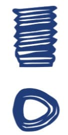 Illustration of a blue screw thread representing a trilobe type screw